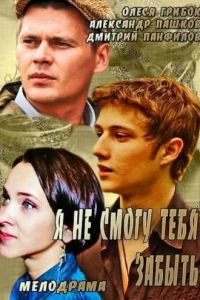 Я не смогу тебя забыть (2013)