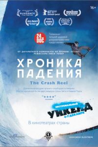 Хроника падения (2013)