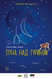   Луна над Турином (2013)